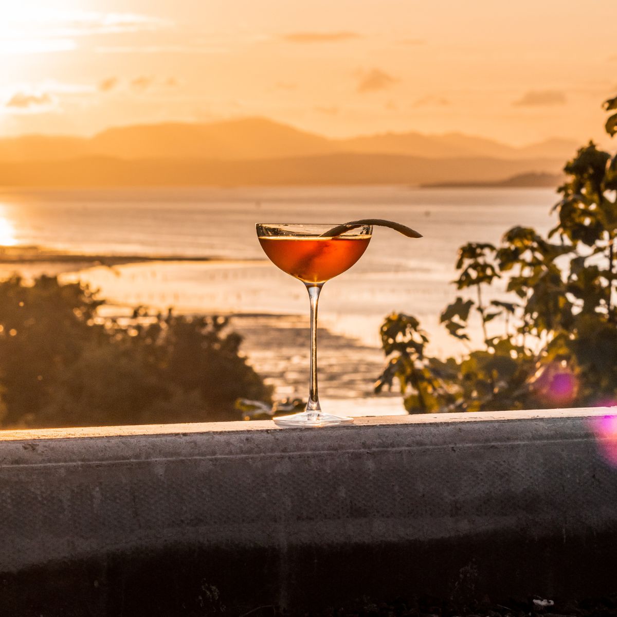 NUDE USA Hepburn Set of 2 Coupe Glasses