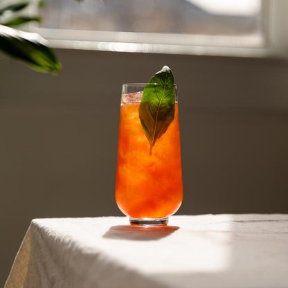 NUDE USA Hepburn Set of 4 Long Drink Glasses