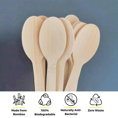6.7" Bamboo Spoons