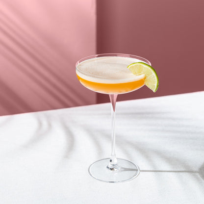 NUDE USA Savage Set of 2 Coupe Glasses