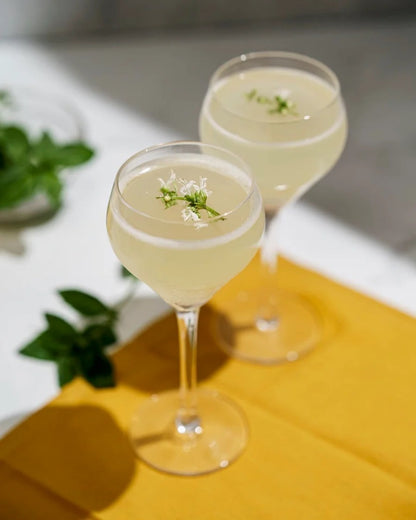 Amehla x The Educated Barfly Collection Teardrop Nick and Nora Cocktail Glass - 6-ounce, Set of 2