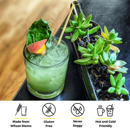 5.75" Cocktail Wheat Straws