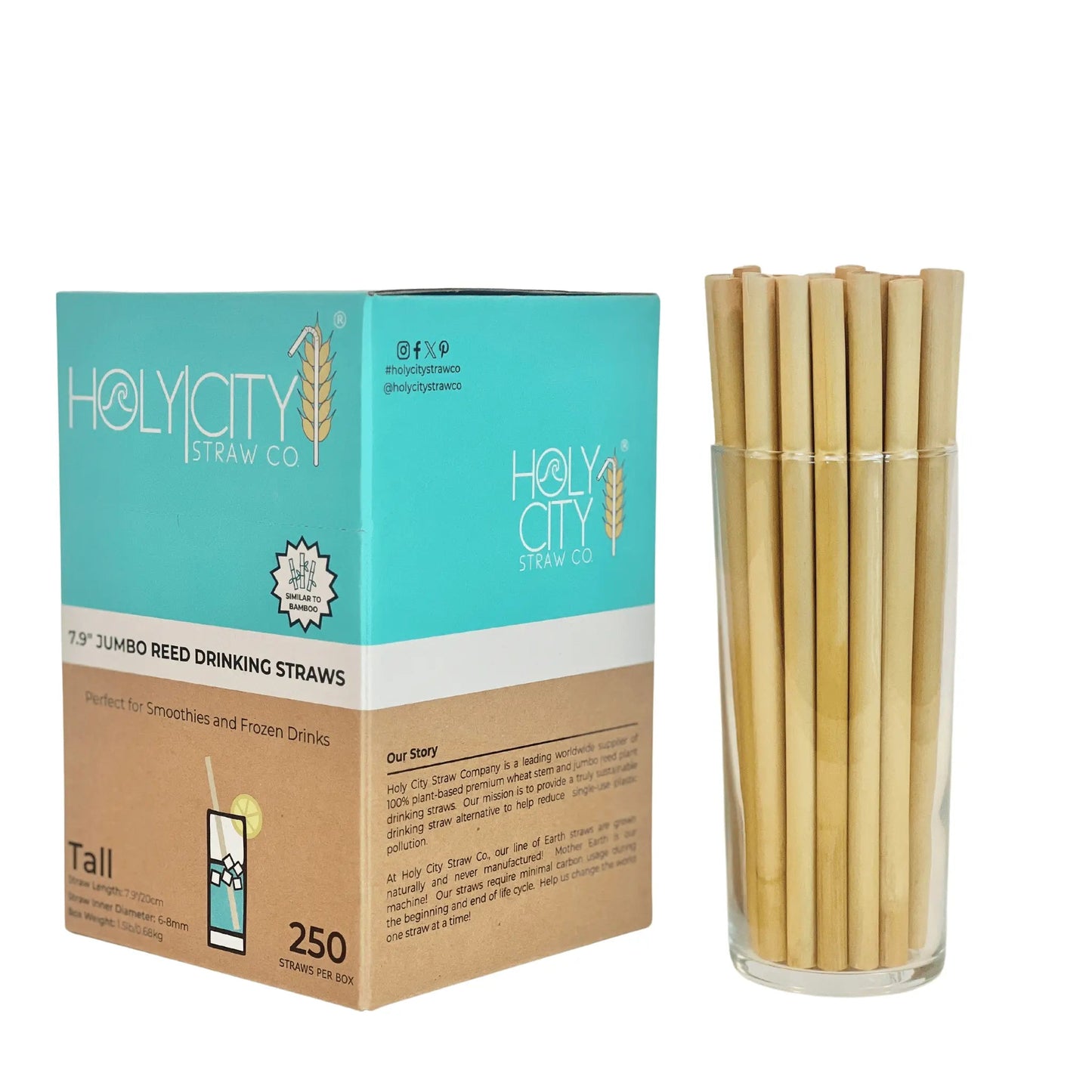 7.9" Jumbo Reed Straws