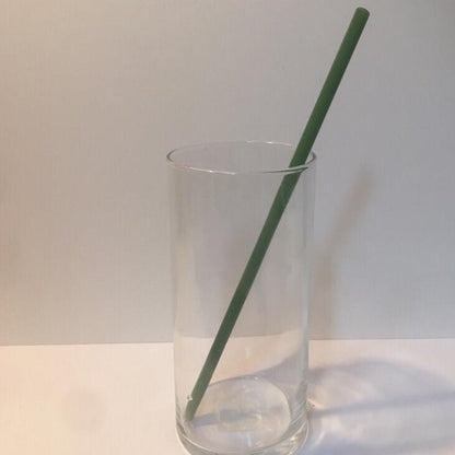 Surfside Sips 12" XL Glass Straw