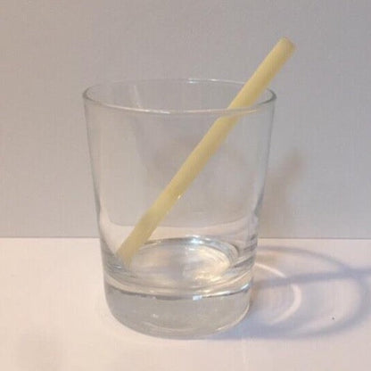 Surfside Sips 5" Petite Glass Straw