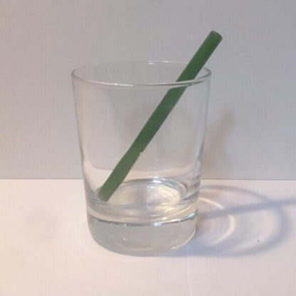 Surfside Sips 5" Petite Glass Straw