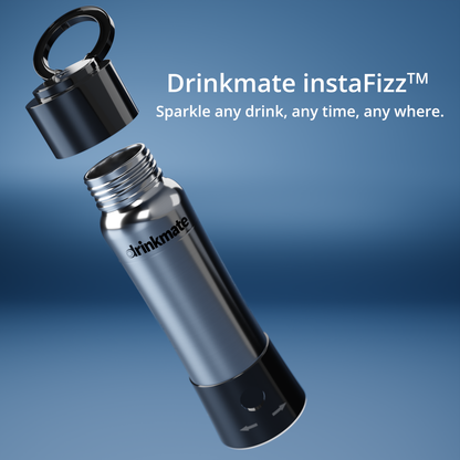 instaFizz Stainless Steel Water Bottle Bundle with 10 CO2 Cartridges (Plus Silicone Sleeve)