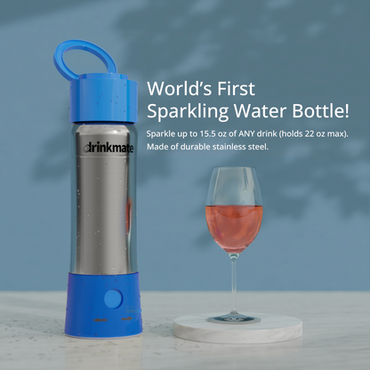 instaFizz Stainless Steel Water Bottle Bundle with 10 CO2 Cartridges (Plus Silicone Sleeve)